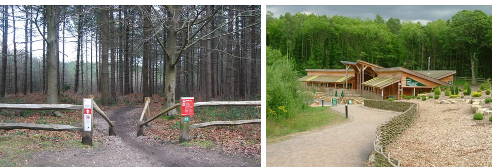 bedgebury forest mtb